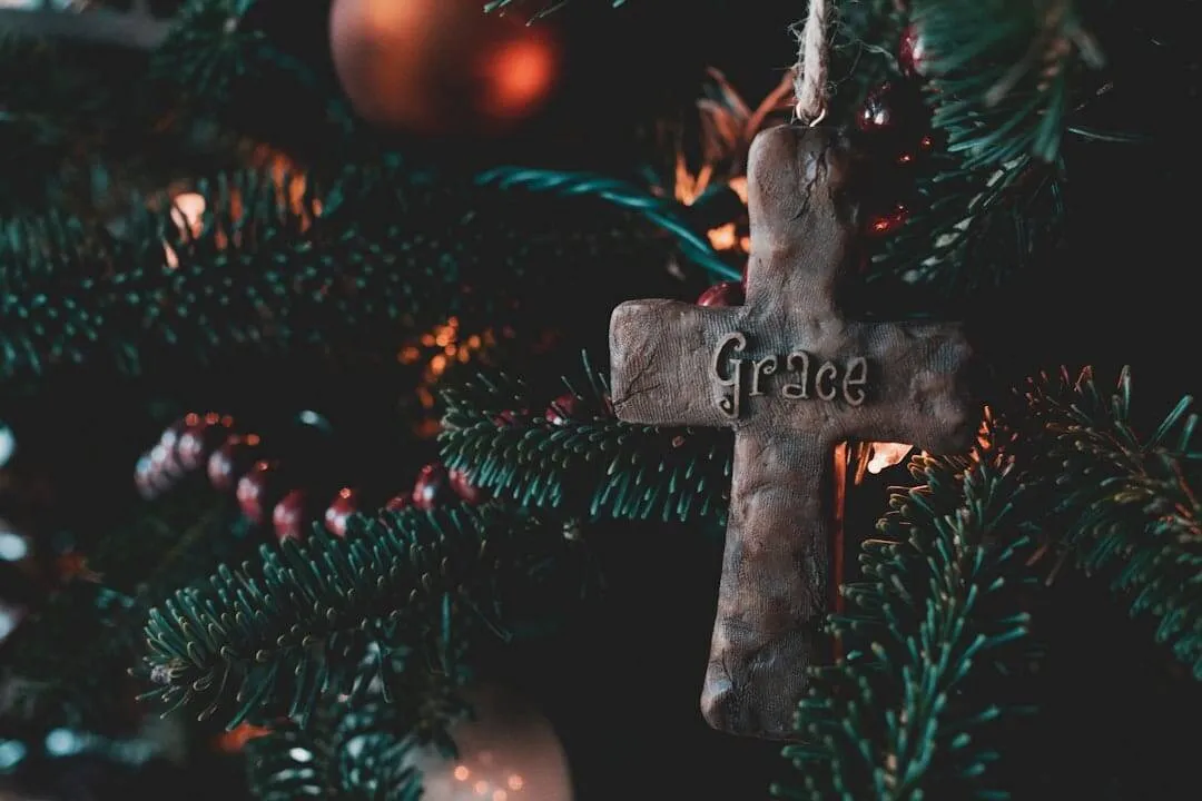 Photo Grace controversy